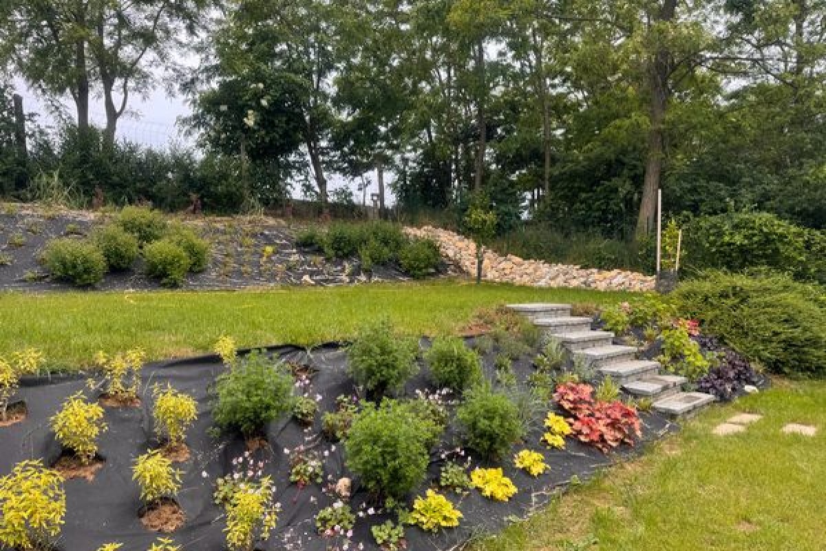 Utána: Teskándi domboldal kertesítés után.